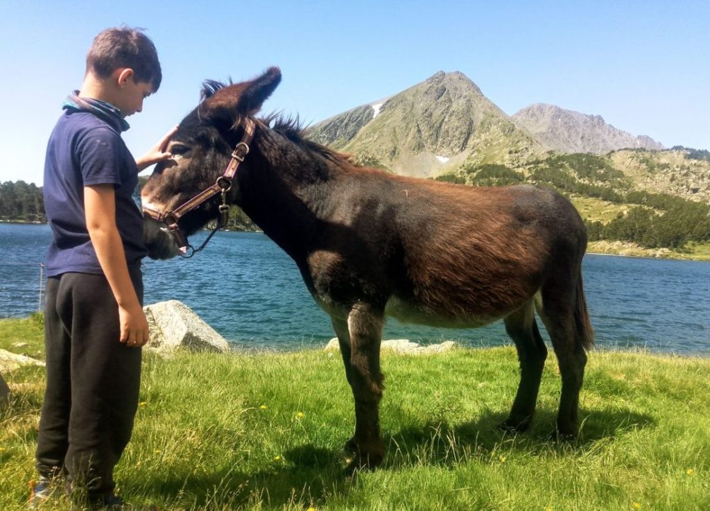 Découverte : "J’étais seul avec mon âne et le monde m’appartenait" - Dis-leur !