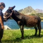 Découverte : "J’étais seul avec mon âne et le monde m’appartenait" - Dis-leur !