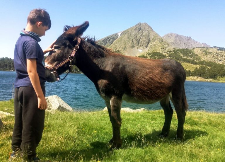 Découverte : "J’étais seul avec mon âne et le monde m’appartenait" - Dis-leur !