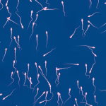 Une étude révèle que les éjaculations fréquentes améliorent la qualité du sperme