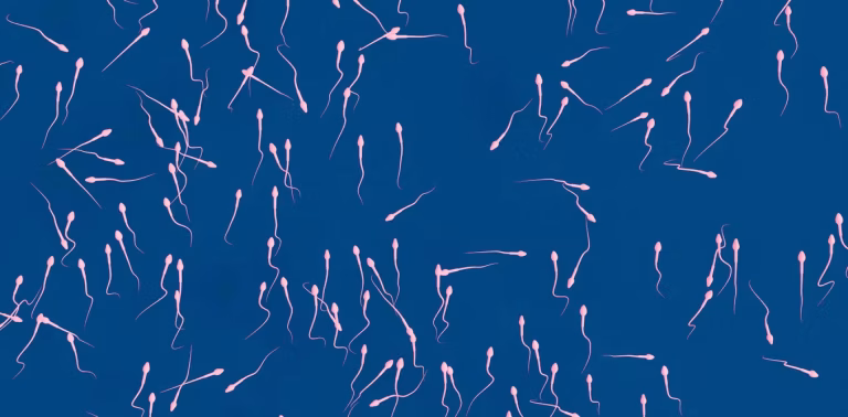 Une étude révèle que les éjaculations fréquentes améliorent la qualité du sperme