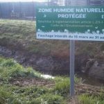 Roselière avenue rives du lac à Vaivre : l’histoire se répète - Cpepesc