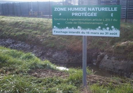 Roselière avenue rives du lac à Vaivre : l’histoire se répète - Cpepesc