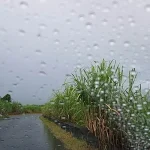 Vigilance jaune : fortes pluies et orages prévus dans le Nord et l'Est de La Réunion jeudi matin
