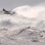 Vigilance jaune vent : rafales jusqu'à 95 km/h prévues ce jeudi dans le Var