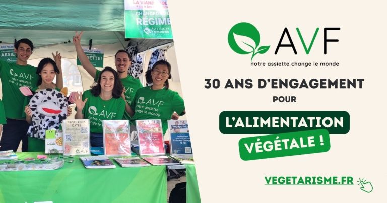 Interdiction des Veggie Burgers : vers une décision finale ? - AVF