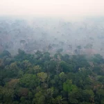 Lula annonce un plan au Brésil pour éradiquer la déforestation et réduire les émissions de 67 %