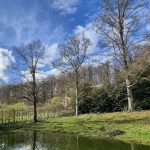 Météo en Belgique : retour au calme prévu ce vendredi selon RTBF Actus
