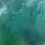 Yellowstone : un site géologique unique entre feu, eau et biodiversité - RTBF Actus