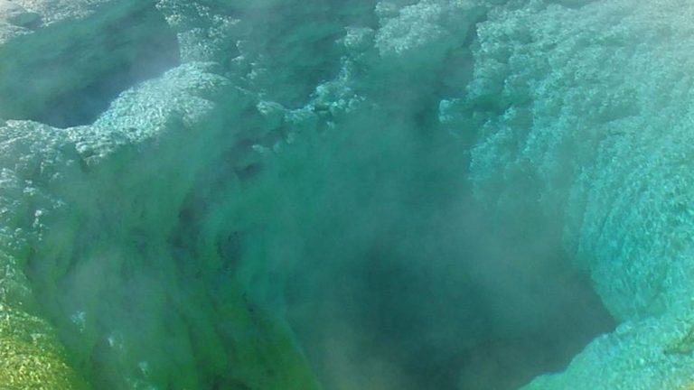 Yellowstone : un site géologique unique entre feu, eau et biodiversité - RTBF Actus