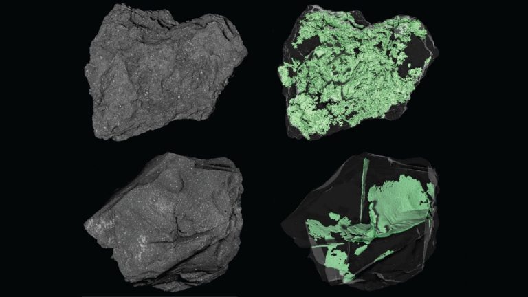 La NASA explore l'intérieur d'un astéroïde | Photo spatiale du jour du 19 mars 2026