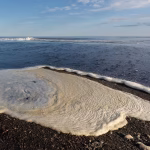 Pollution marine : pesticides, médicaments et composés industriels détectés dans l'eau