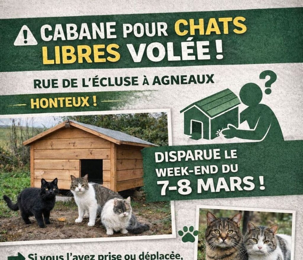 Une association de la Manche victime du vol de sa cabane pour chats : indignation générale