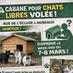 Une association de la Manche victime du vol de sa cabane pour chats : indignation générale