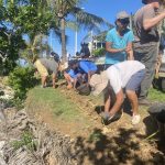 A la côte Blanche, des citoyens replantent pour freiner l’érosion