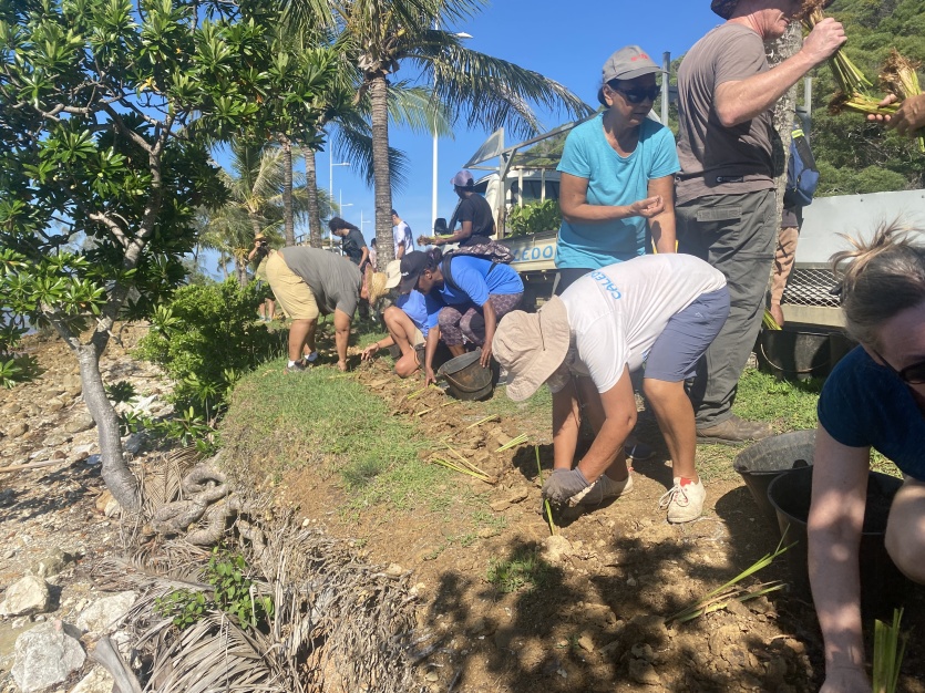 A la côte Blanche, des citoyens replantent pour freiner l’érosion
