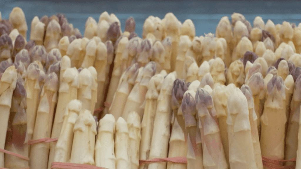 Asperges de retour : faites des réserves pour en profiter toute l'année en vente directe
