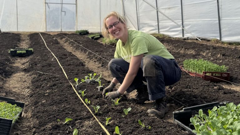 À Jodoigne, le projet Beanette transforme la consommation de fruits et légumes par autocueillette