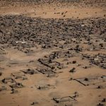 Mali : le JNIM exécute un responsable d'une organisation de jeunes en public