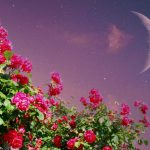 Nouveau départ : la Nouvelle Lune du 19 mars transforme nos vies