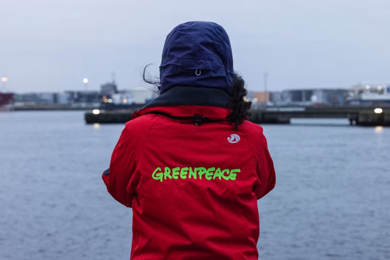 Greenpeace France annonce la suppression d'un quart de ses effectifs d'ici l'été.
