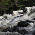 Page d'accueil Yahoo news