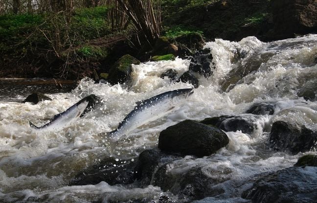 Page d'accueil Yahoo news