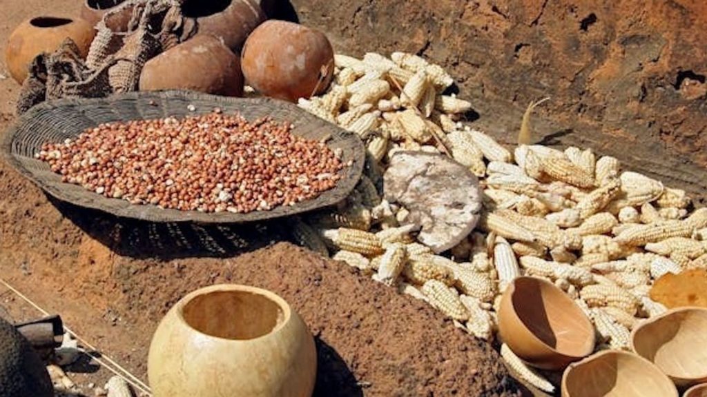 Les aliments fermentés d'Afrique : un patrimoine culinaire aux bienfaits méconnus