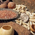 Les aliments fermentés d'Afrique : un patrimoine culinaire aux bienfaits méconnus