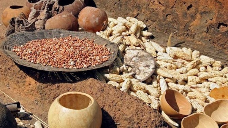 Les aliments fermentés d'Afrique : un patrimoine culinaire aux bienfaits méconnus