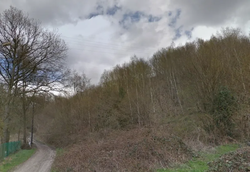 Forêt s'étalant au nord du cimetière bognysien de Levrézy, en avril 2013 : on aperçoit la ligne électrique à haute tension.