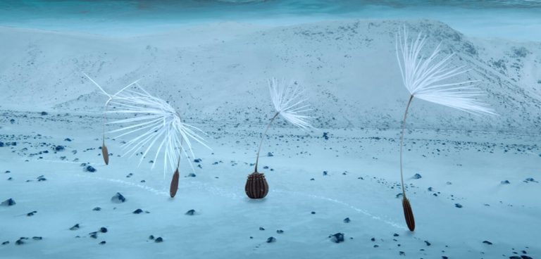 « Planètes » : un film du CNRS qui célèbre la vie sur Terre et dans l'univers