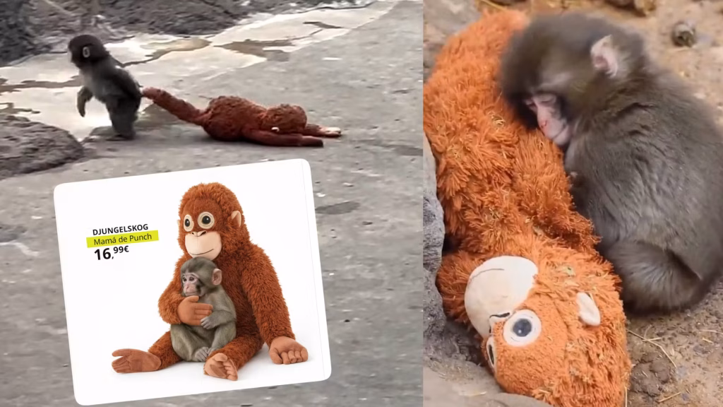 Ikea capitalise sur le succès des vidéos de ce singe adorable pour sa promotion