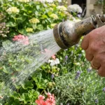 Ce gadget de jardin à 11 € révèle l'incompétence des dirigeants RN face aux absurdités locales !