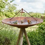 Transformez votre vieille parabole TV en refuge pour oiseaux : évitez cette erreur courante