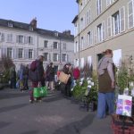 Réchauffement climatique : les espèces exotiques présentes à la Foire aux plantes de Lisieux