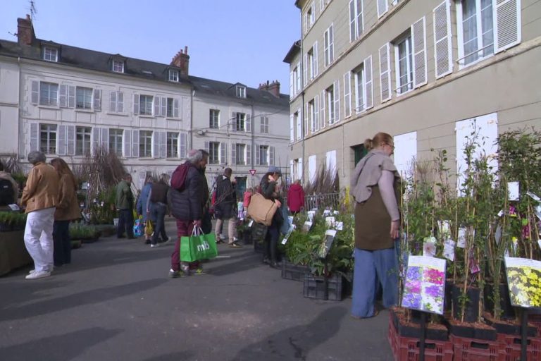 Réchauffement climatique : les espèces exotiques présentes à la Foire aux plantes de Lisieux
