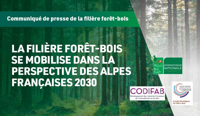 La filière forêt-bois s'engage pour les Alpes françaises 2030 - France Bois Forêt