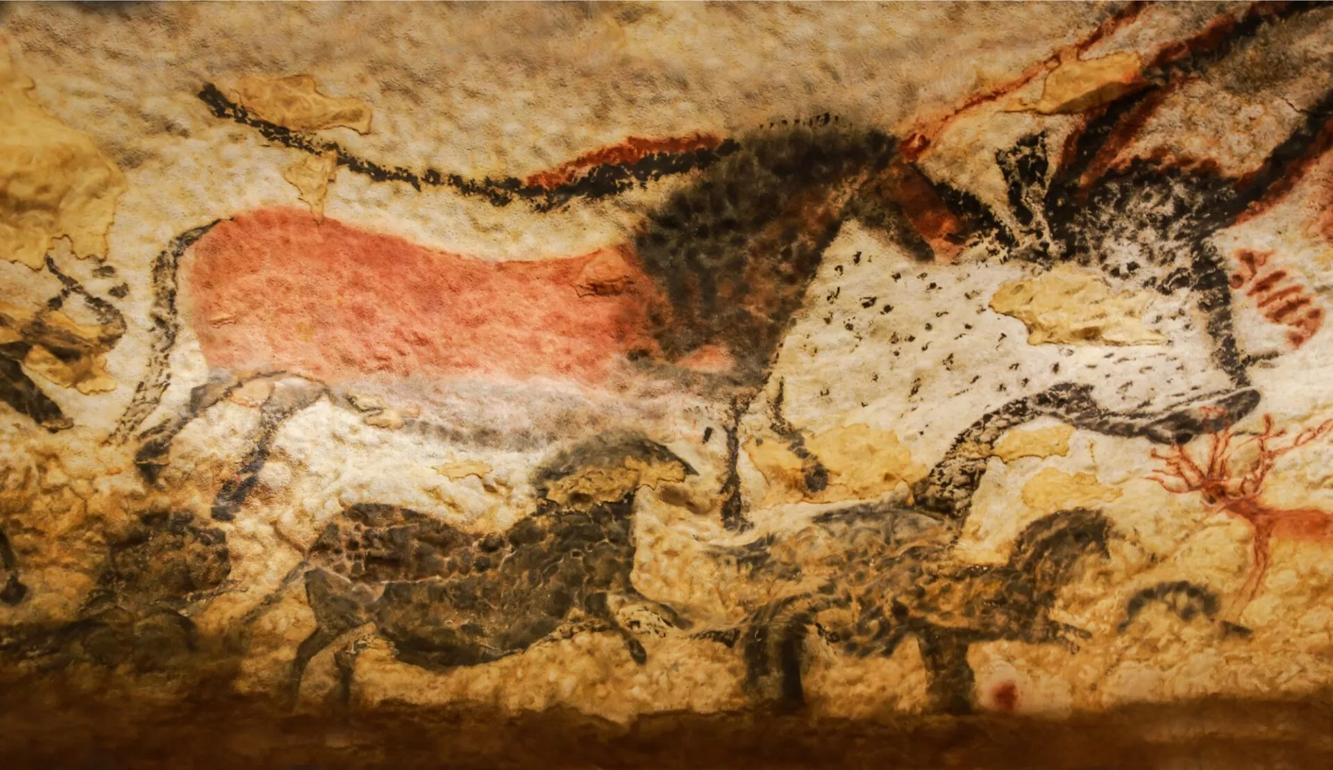 Grottes de Lascaux : tout savoir avant votre visite à Lascaux IV