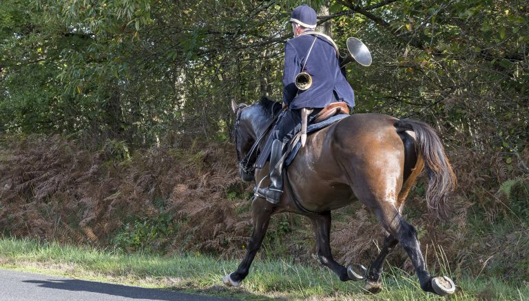 Vénères contre les veneurs : les Français ne veulent plus de chasse à courre
