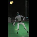 Demain, un robot pourrait remplacer ton prof de tennis ?