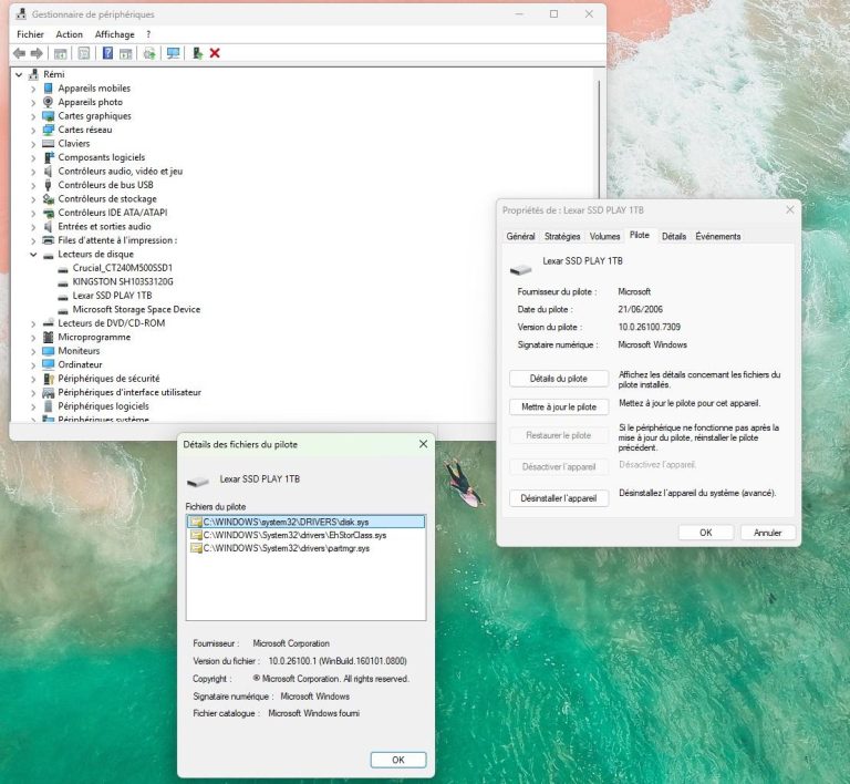 disques nvme windows cdh [cliquer pour agrandir]