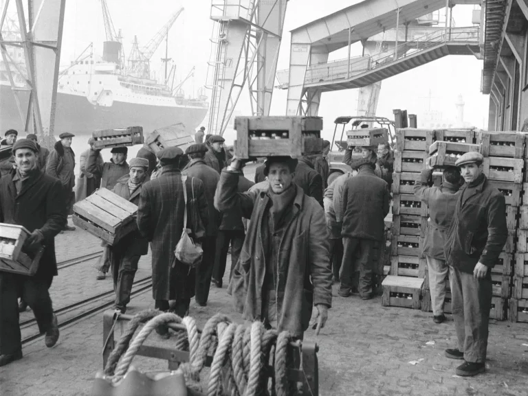 Marseille, 1966 : la CGT reprend le contrôle des docks face à la mafia sur le port de la Joliette