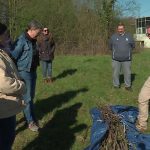 La Coupe du potager : une initiative pour valoriser les plantations dans les écoles