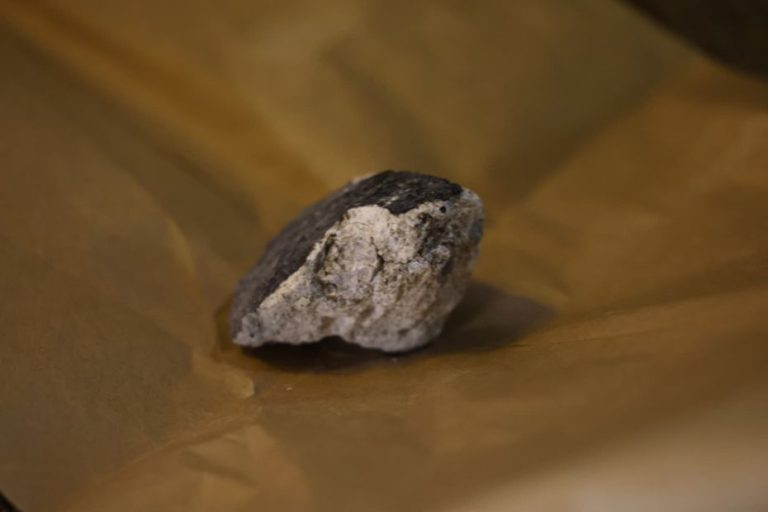 Météorite de Coblence à 900 € le gramme : un intérêt croissant chez chasseurs et scientifiques