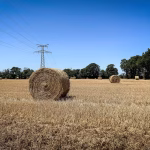 Origine du cadmium dans nos sols : ce métal toxique qui menace notre alimentation