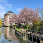 EN IMAGES. Précoce, le printemps est rapidement venu égayer la ville de Bernay