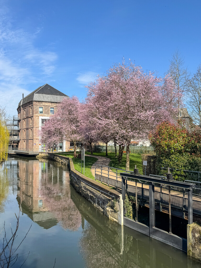 EN IMAGES. Précoce, le printemps est rapidement venu égayer la ville de Bernay
