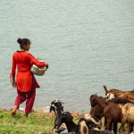 Les femmes passent trois fois plus de temps que les hommes à collecter de l'eau dans le monde