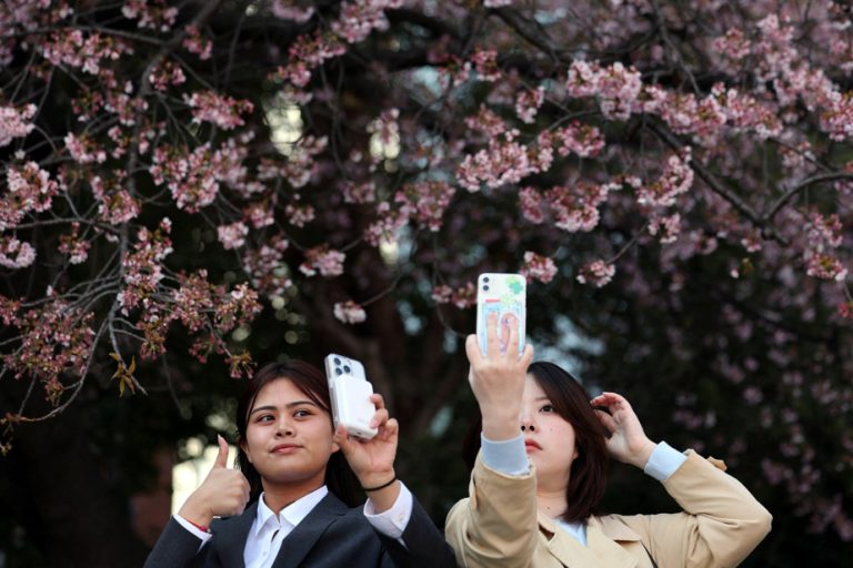 Les foules se rassemblent pour le lancement de la saison des cerisiers en fleurs